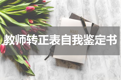 教师转正表自我鉴定书