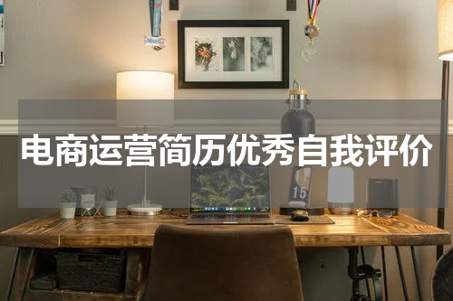 电商运营简历优秀自我评价