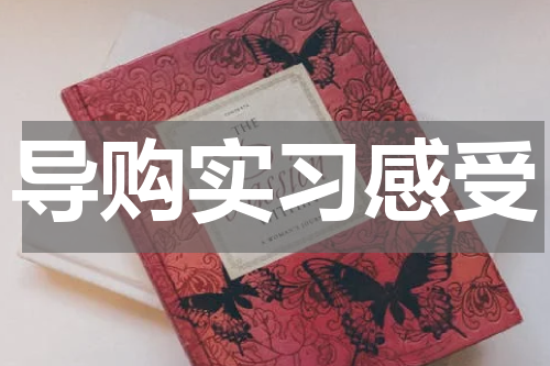 导购实习感受