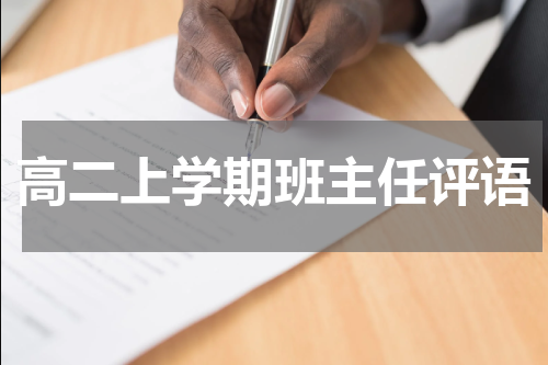 高二上学期班主任评语