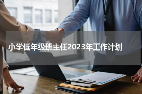 小学低年级班主任2023年工作计划