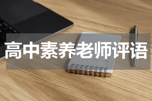 高中素养老师评语