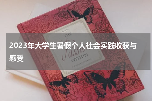 2023年大学生暑假个人社会实践收获与感受