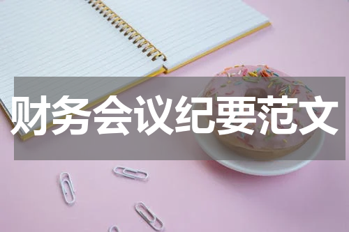 财务会议纪要范文