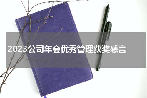 2023公司年会优秀管理获奖感言
