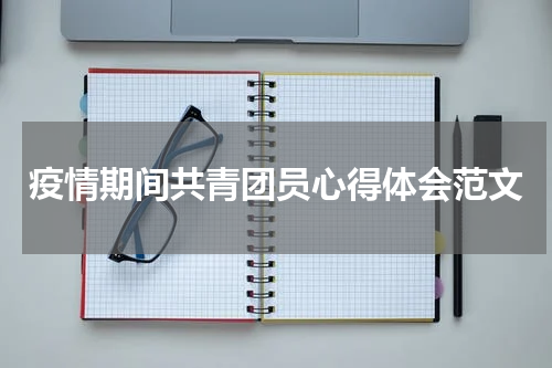 疫情期间共青团员心得体会范文