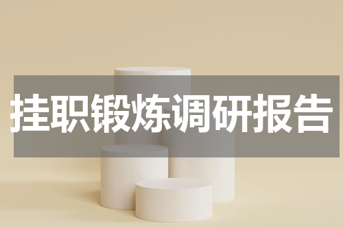 挂职锻炼调研报告