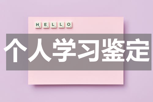 个人学习鉴定
