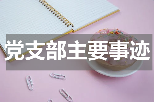 党支部主要事迹