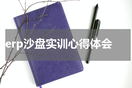 erp沙盘实训心得体会
