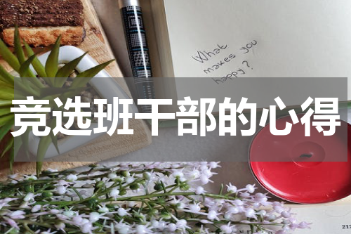 竞选班干部的心得