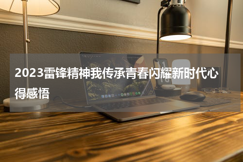 2023雷锋精神我传承青春闪耀新时代心得感悟