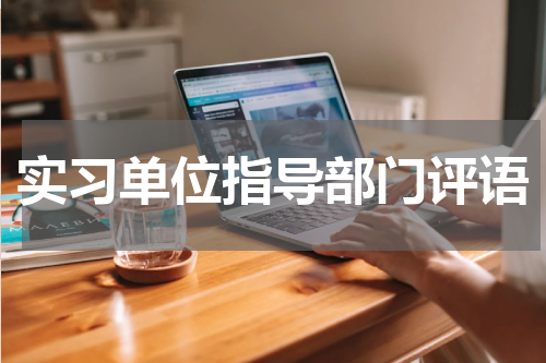 实习单位指导部门评语