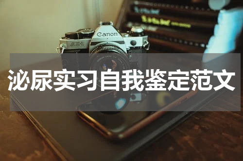 泌尿实习自我鉴定范文