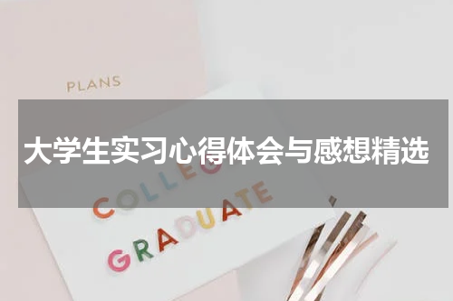 大学生实习心得体会与感想精选
