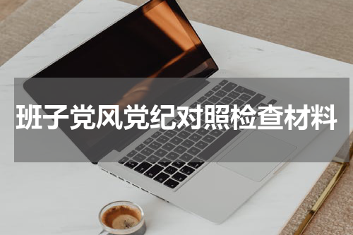班子党风党纪对照检查材料
