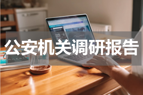 公安机关调研报告