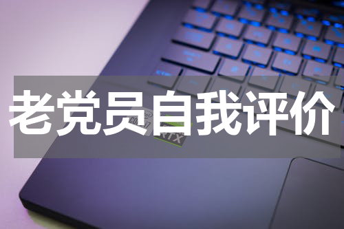 老党员自我评价