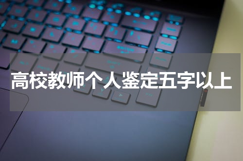 高校教师个人鉴定五字以上