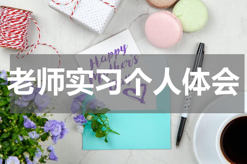 老师实习个人体会