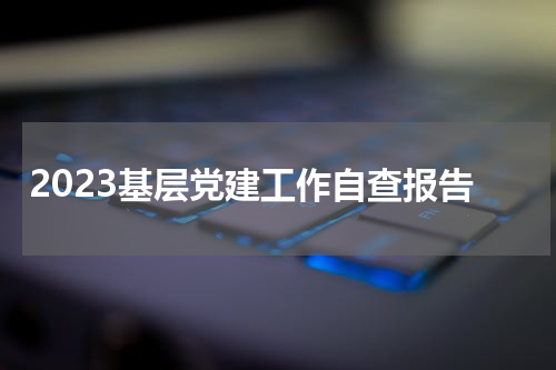 2023基层党建工作自查报告