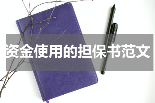 资金使用的担保书范文