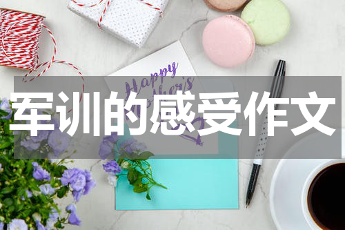 军训的感受作文