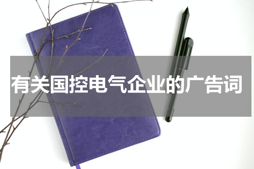 有关国控电气企业的广告词