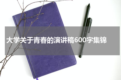 大学关于青春的演讲稿600字集锦
