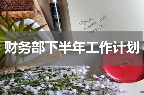 财务部下半年工作计划