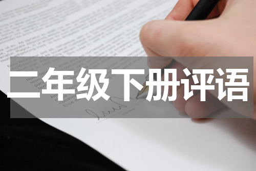 二年级下册评语