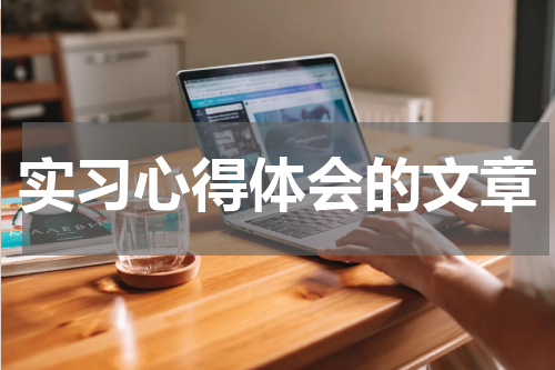 实习心得体会的文章