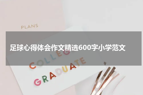 足球心得体会作文精选600字小学范文