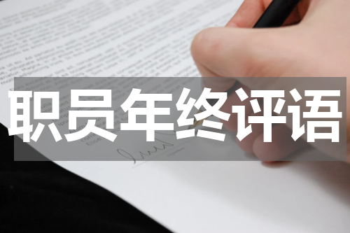 职员年终评语