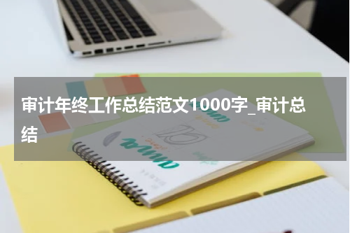 审计年终工作总结范文1000字_审计总结