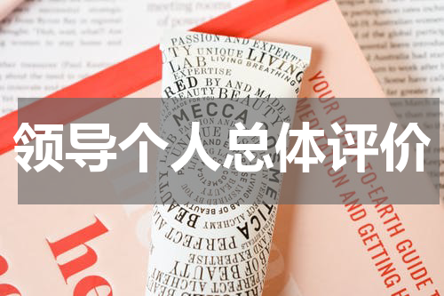 领导个人总体评价