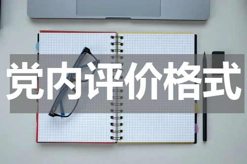 党内评价格式