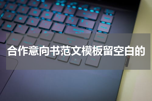 合作意向书范文模板留空白的