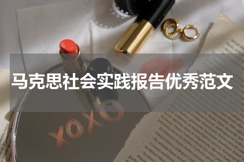 马克思社会实践报告优秀范文