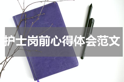 护士岗前心得体会范文