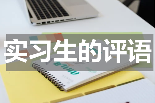 实习生的评语