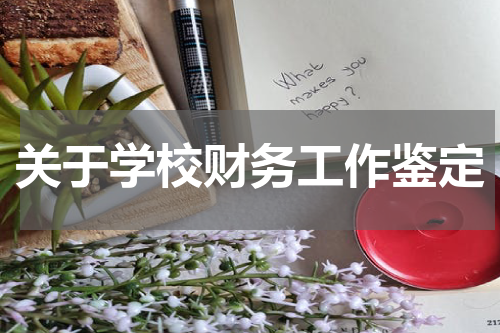 关于学校财务工作鉴定
