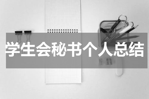 学生会秘书个人总结