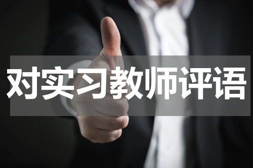 对实习教师评语