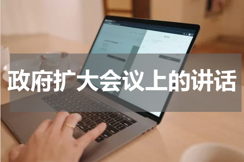 政府扩大会议上的讲话