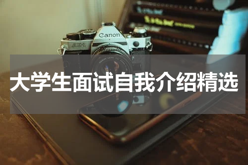 大学生面试自我介绍精选