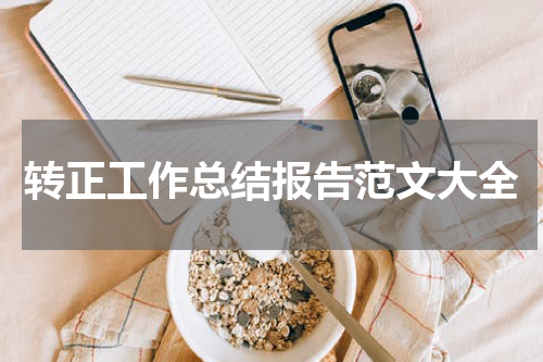 转正工作总结报告范文大全