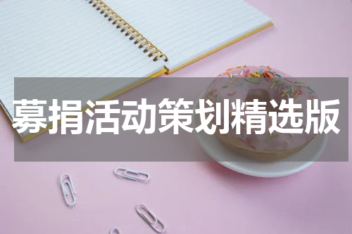 募捐活动策划精选版
