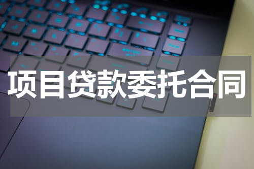 项目贷款委托合同