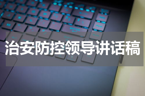 治安防控领导讲话稿